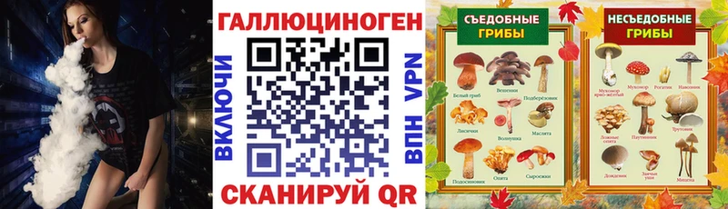 Псилоцибиновые грибы мицелий Лыткарино